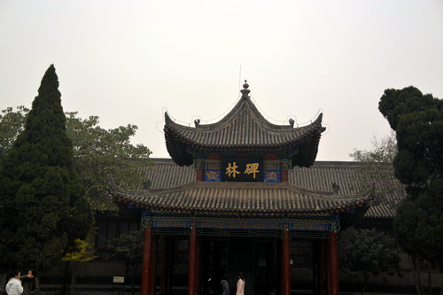 赌场app