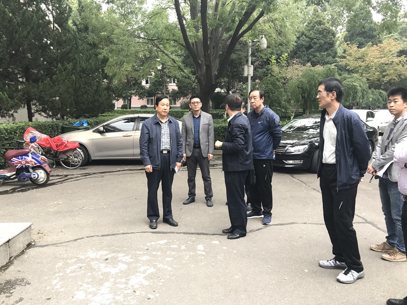 赌场app